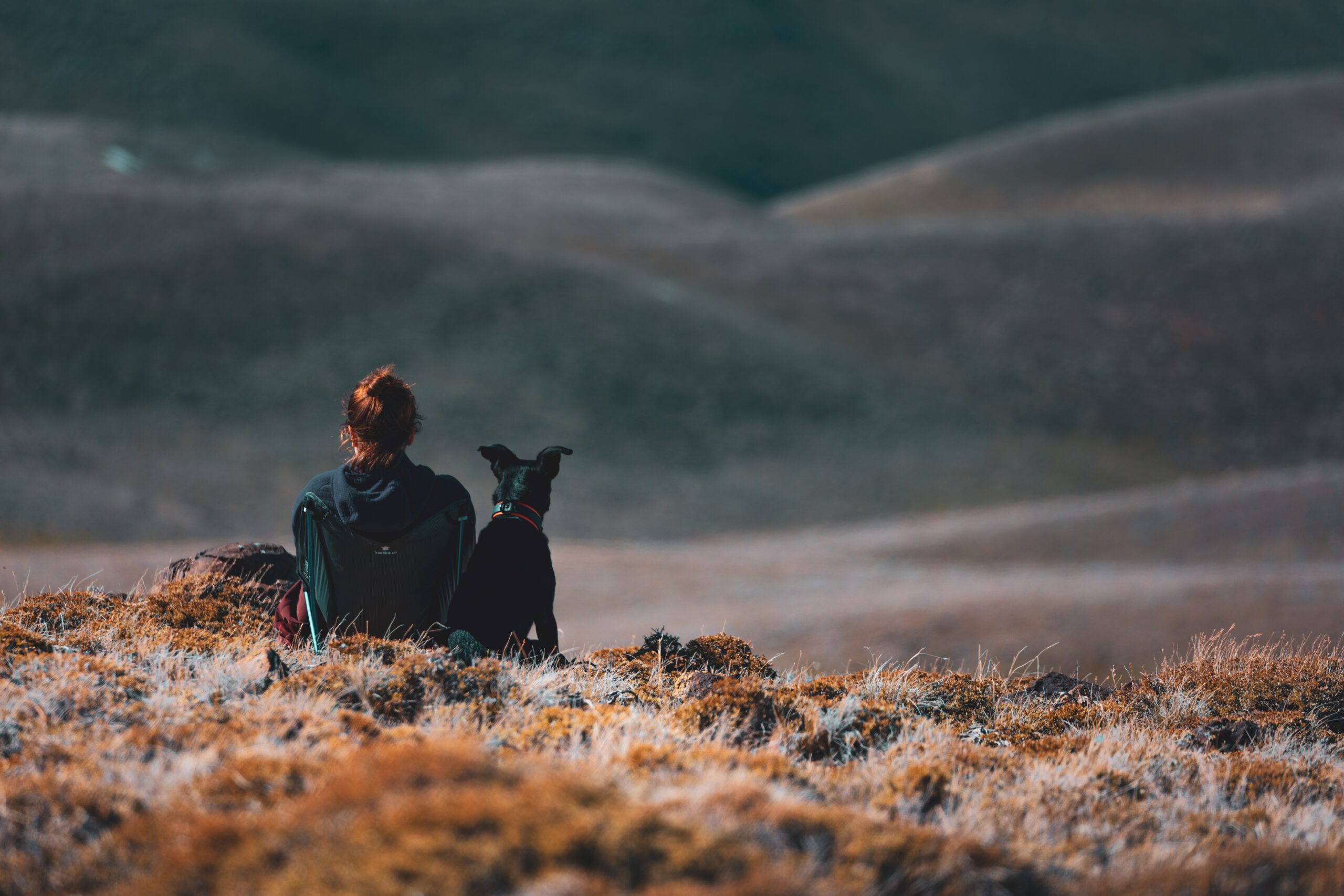 Girl sitting with dog in field