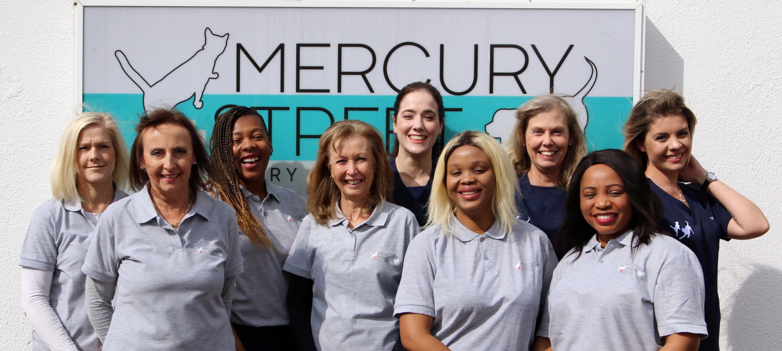 Mercury Street Hospital's Team